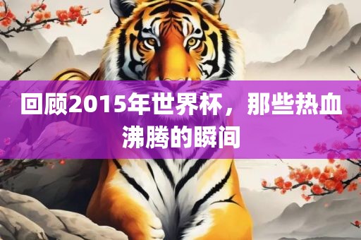 回顾2015年世界杯，那些热血沸腾的常熟市高丰毛纺织品有限公司瞬间