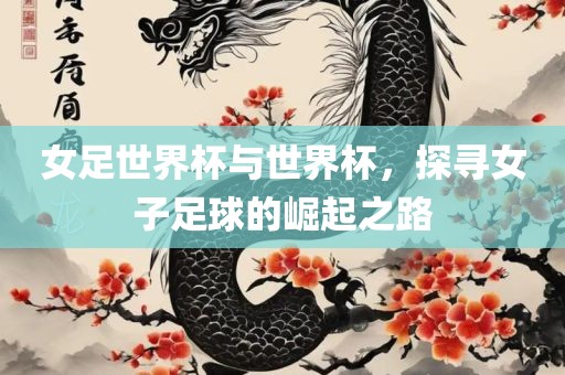 女足世界杯与世界杯，探寻女子足球的崛起之常熟市高丰毛纺织品有限公司路