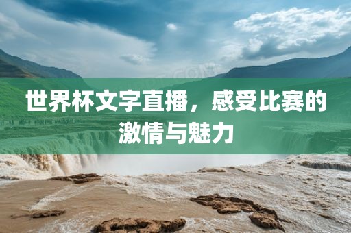 世界杯文字直播，感受比赛的激情与魅力