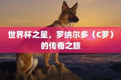 世界杯之星，罗纳尔多（C罗）的传奇之旅