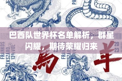 巴西队世界杯名单解析，群星闪耀，期待荣耀归来