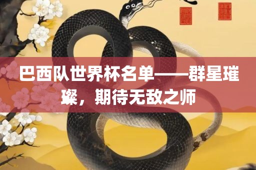 巴西队世界杯名单——群星璀璨，期待无敌之师常熟市高丰毛纺织品有限公司