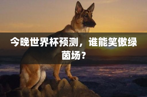 今晚世界杯预测，谁能笑傲绿茵场？