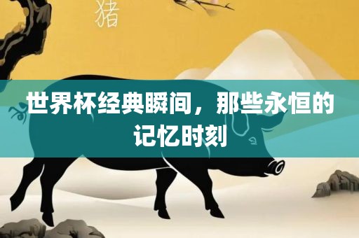 世界杯经典瞬间，那些永恒的记忆时刻