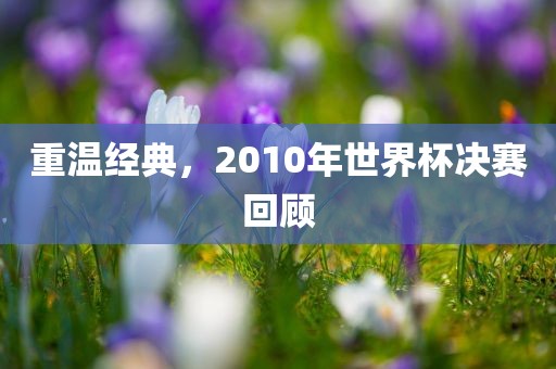 重温经典，2010年世界杯决赛回顾