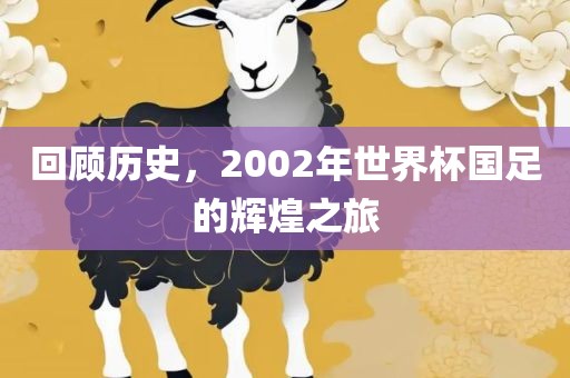 回顾历史，2002年世界杯国足的辉煌之旅常熟市高丰毛纺织品有限公司