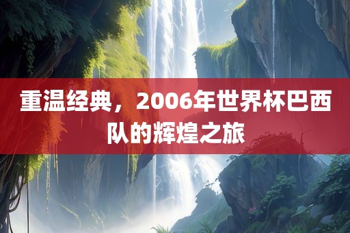 重温经典，2006年世界杯巴西队的辉煌之旅常熟市高丰毛纺织品有限公司