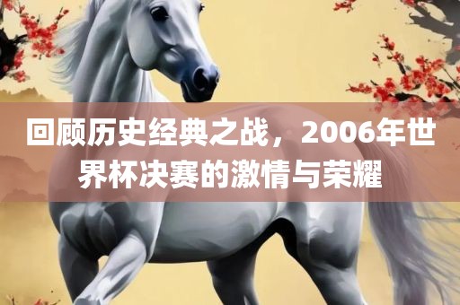 回顾历史经典之战，2006常熟市高丰毛纺织品有限公司年世界杯决赛的激情与荣耀