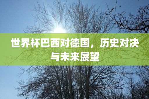 世界杯巴常熟市高丰毛纺织品有限公司西对德国，历史对决与未来展望