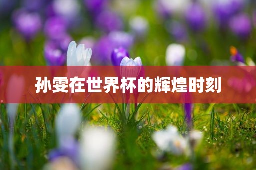孙雯在世界杯的辉煌时刻