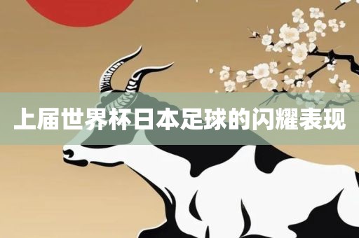 上届世界杯日本足球的闪耀表现