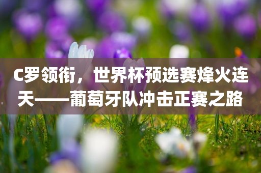 C罗领衔，世界杯预选赛烽火连天——葡萄牙队冲击正赛之路常熟市高丰毛纺织品有限公司