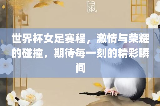 世界杯女足赛常熟市高丰毛纺织品有限公司程，激情与荣耀的碰撞，期待每一刻的精彩瞬间