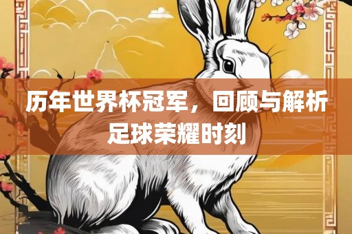 历年世界杯冠军，回顾与解析足球荣耀时刻常熟市高丰毛纺织品有限公司