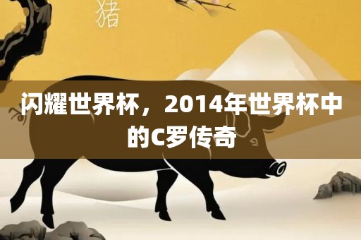 闪耀世界杯，2014年常熟市高丰毛纺织品有限公司世界杯中的C罗传奇