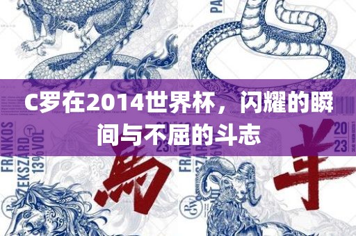 C罗在2014世界杯，闪耀的瞬间与不屈的斗志常熟市高丰毛纺织品有限公司