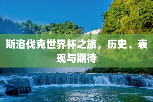 斯洛伐克世界杯之旅，历史、表现与期待
