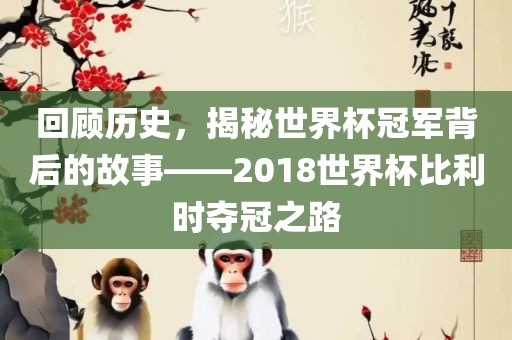 回顾历史，揭秘世界杯冠军背后的故事——2018世界杯比利时夺冠之路常熟市高丰毛纺织品有限公司