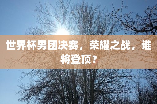 世界杯男团决赛，荣耀之战，谁将登顶？常熟市高丰毛纺织品有限公司