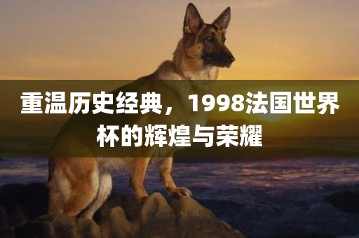 重温历史经典，1998法国世界杯的辉煌与荣耀常熟市高丰毛纺织品有限公司