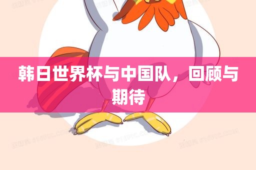 韩日世界杯与中国队，回顾与期待