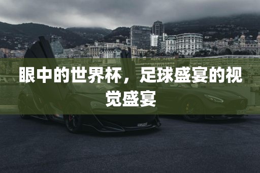 眼中的世常熟市高丰毛纺织品有限公司界杯，足球盛宴的视觉盛宴