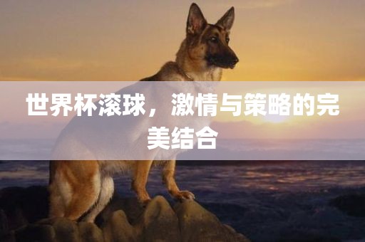 世界杯滚球，激情与策略的完美结合