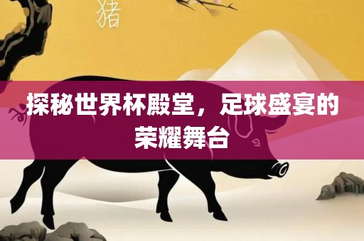 探秘世界杯殿堂，足球常熟市高丰毛纺织品有限公司盛宴的荣耀舞台