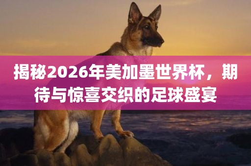 美加墨足球盛宴