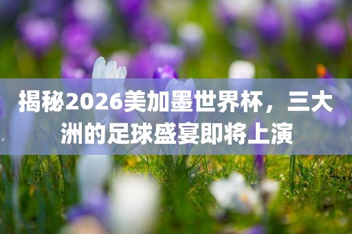揭秘2026美加墨世界杯，三大洲的足球盛宴即将上演常熟市高丰毛纺织品有限公司