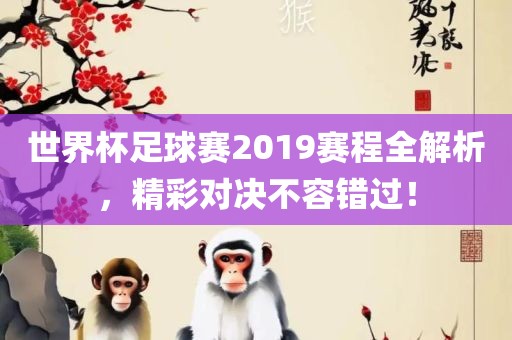 世界杯足球赛2019赛程全解析，精彩对决不容错过！