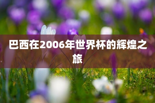 巴西在2006年世界杯的辉煌之旅