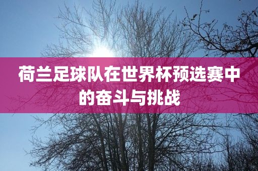 荷兰足球队在世界杯预选赛中的奋斗与挑战