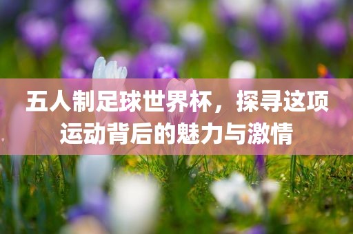 五人制足球世界杯，探寻这项运动背后的魅力与激情常熟市高丰毛纺织品有限公司