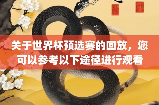 关于世界杯预选赛的回放，您可以参考以下途径进行观看