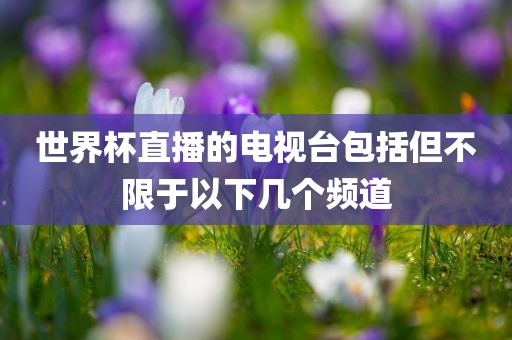 世界杯直播的电视台包括但不限于以下几个频道常熟市高丰毛纺织品有限公司