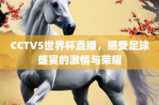 CCTV5世界杯直播，感受足球盛宴的激情与荣耀常熟市高丰毛纺织品有限公司