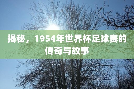 揭秘故事