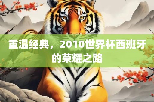 重温经典，2010世界杯西班牙的荣耀之路