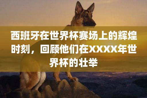 西班牙在世界杯赛场上的辉煌时刻，回顾他们在XXXX年世界杯的壮举常熟市高丰毛纺织品有限公司