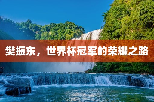 樊振东，世界杯冠军的荣耀之路