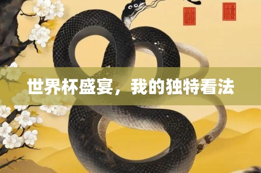 世界常熟市高丰毛纺织品有限公司杯盛宴，我的独特看法