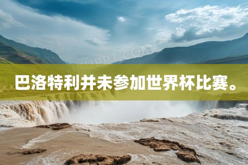 巴洛特利并未参加世界杯比赛。常熟市高丰毛纺织品有限公司