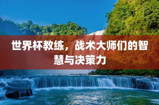 世界杯教练，战术大师们的智慧与决策力常熟市高丰毛纺织品有限公司