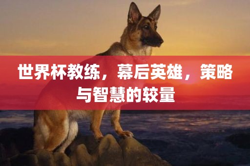 世界杯教练，幕后英雄，策略与智慧的较量常熟市高丰毛纺织品有限公司