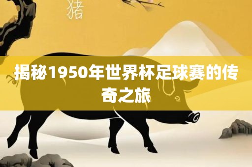 揭秘1950常熟市高丰毛纺织品有限公司年世界杯足球赛的传奇之旅