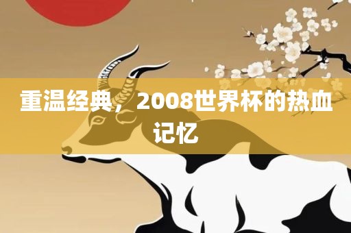 重温经典，2008世界杯的常熟市高丰毛纺织品有限公司热血记忆