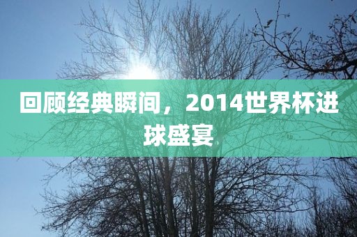 回顾经典瞬间，2014世界杯进球盛宴