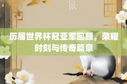 历届世界杯冠亚军回顾，荣耀时刻与传奇篇章常熟市高丰毛纺织品有限公司