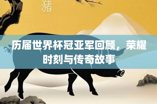 历届世界杯冠亚军回顾，荣耀时刻与传奇故事常熟市高丰毛纺织品有限公司